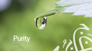 purity